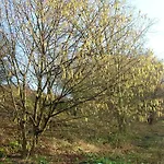 Ferme Du Charme * Moustier