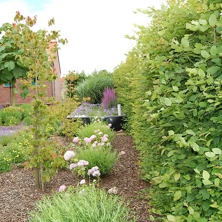 Ferme Du Charme بيت للعطل Moustier