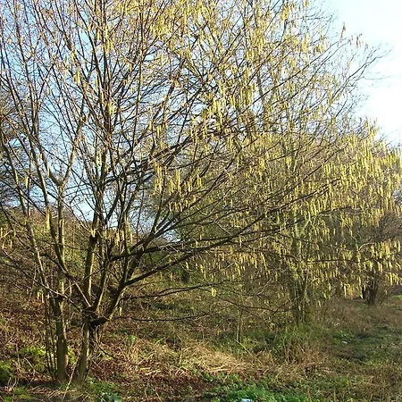 Ferme Du Charme * Moustier