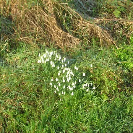Feriehus Ferme Du Charme *