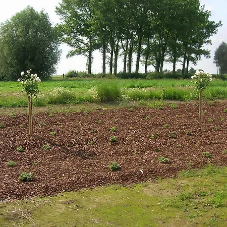 Ferme Du Charme 펜션 Moustier