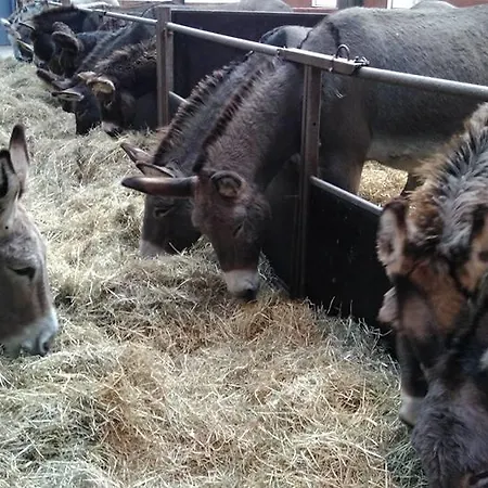 Ferme Du Charme 펜션